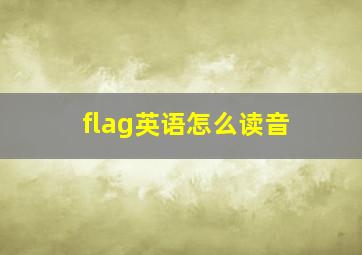 flag英语怎么读音