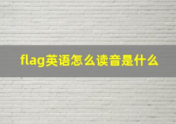 flag英语怎么读音是什么