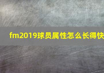 fm2019球员属性怎么长得快