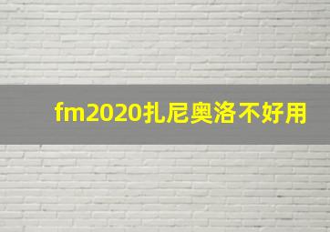 fm2020扎尼奥洛不好用