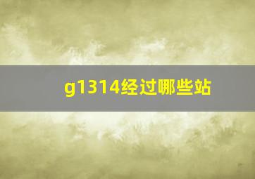 g1314经过哪些站