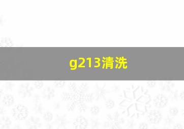 g213清洗