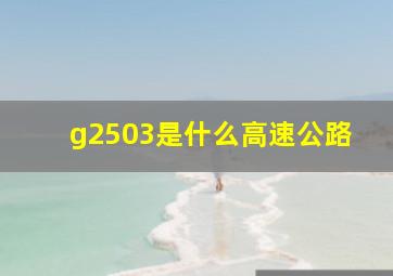 g2503是什么高速公路