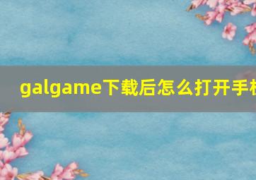 galgame下载后怎么打开手机