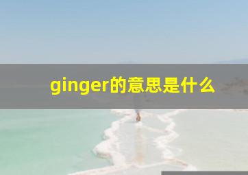 ginger的意思是什么