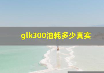 glk300油耗多少真实