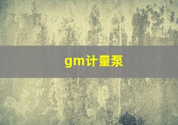 gm计量泵