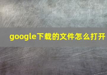 google下载的文件怎么打开