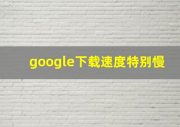 google下载速度特别慢