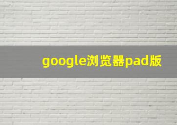 google浏览器pad版