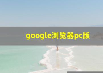 google浏览器pc版