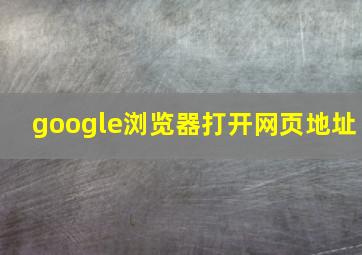 google浏览器打开网页地址