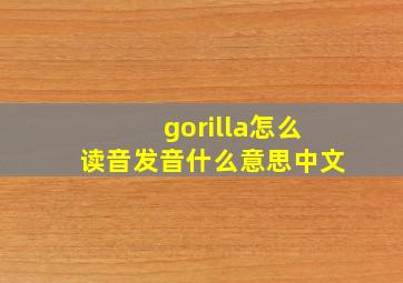 gorilla怎么读音发音什么意思中文