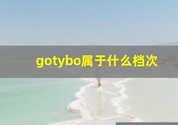 gotybo属于什么档次