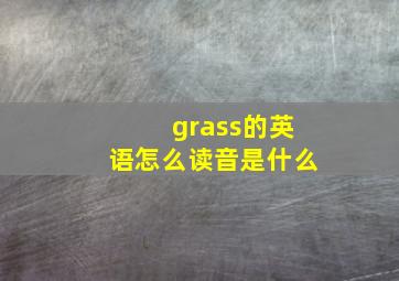 grass的英语怎么读音是什么