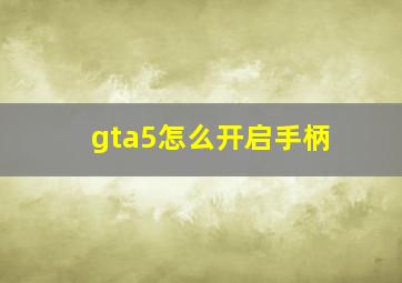 gta5怎么开启手柄