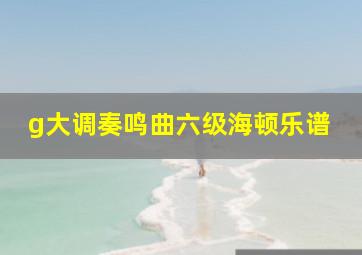 g大调奏鸣曲六级海顿乐谱