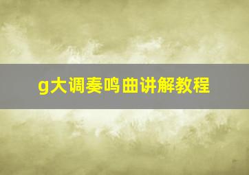 g大调奏鸣曲讲解教程