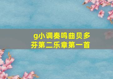 g小调奏鸣曲贝多芬第二乐章第一首