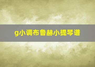 g小调布鲁赫小提琴谱