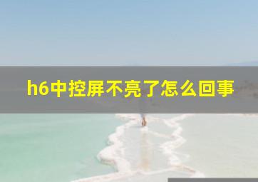 h6中控屏不亮了怎么回事