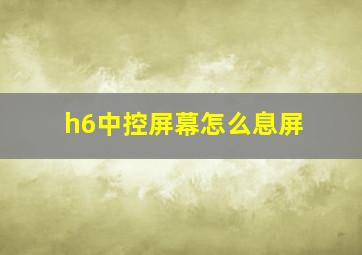 h6中控屏幕怎么息屏