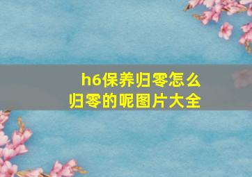 h6保养归零怎么归零的呢图片大全