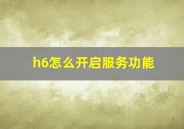 h6怎么开启服务功能