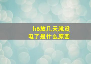 h6放几天就没电了是什么原因