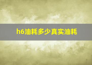 h6油耗多少真实油耗