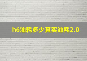 h6油耗多少真实油耗2.0