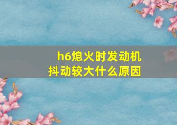 h6熄火时发动机抖动较大什么原因