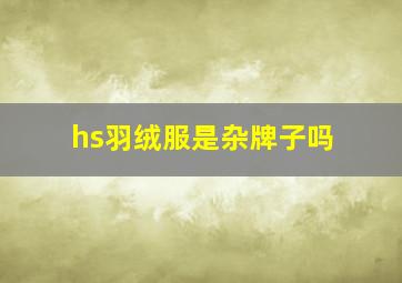 hs羽绒服是杂牌子吗