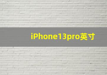 iPhone13pro英寸