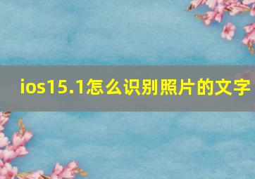 ios15.1怎么识别照片的文字