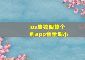 ios单独调整个别app音量调小