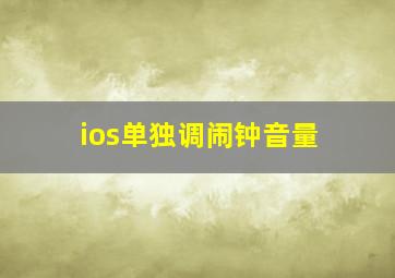 ios单独调闹钟音量