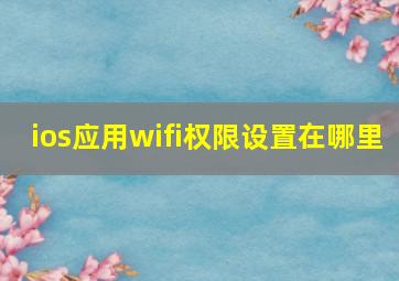 ios应用wifi权限设置在哪里