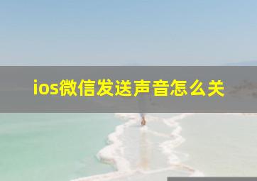 ios微信发送声音怎么关