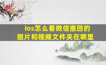 ios怎么看微信撤回的图片和视频文件夹在哪里