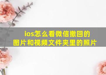 ios怎么看微信撤回的图片和视频文件夹里的照片