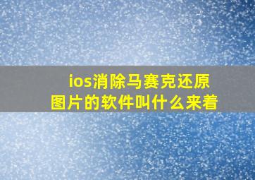 ios消除马赛克还原图片的软件叫什么来着