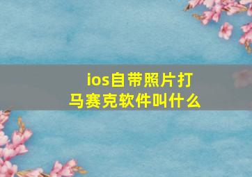 ios自带照片打马赛克软件叫什么