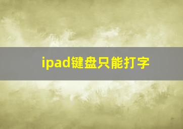 ipad键盘只能打字