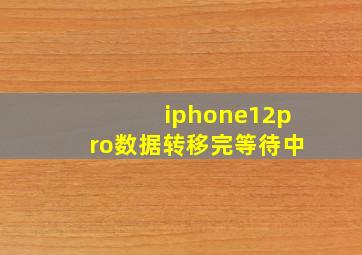 iphone12pro数据转移完等待中