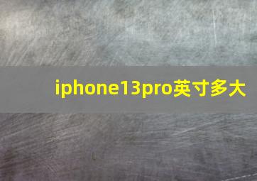 iphone13pro英寸多大