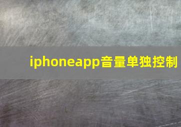 iphoneapp音量单独控制