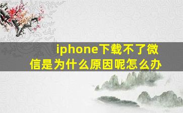 iphone下载不了微信是为什么原因呢怎么办