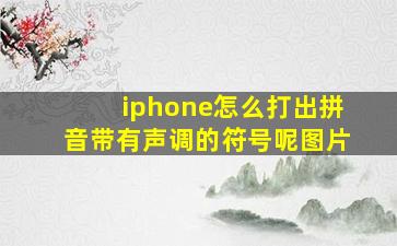 iphone怎么打出拼音带有声调的符号呢图片