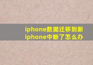 iphone数据迁移到新iphone中断了怎么办